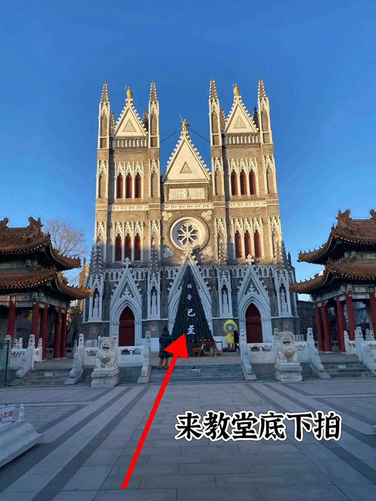 null — step-by-step photo guide