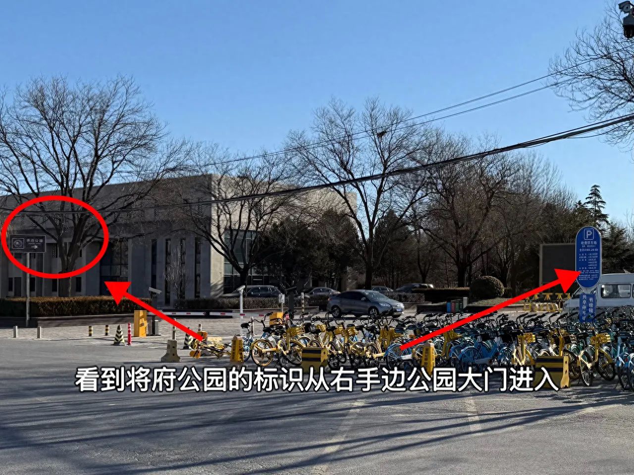 null — step-by-step photo guide