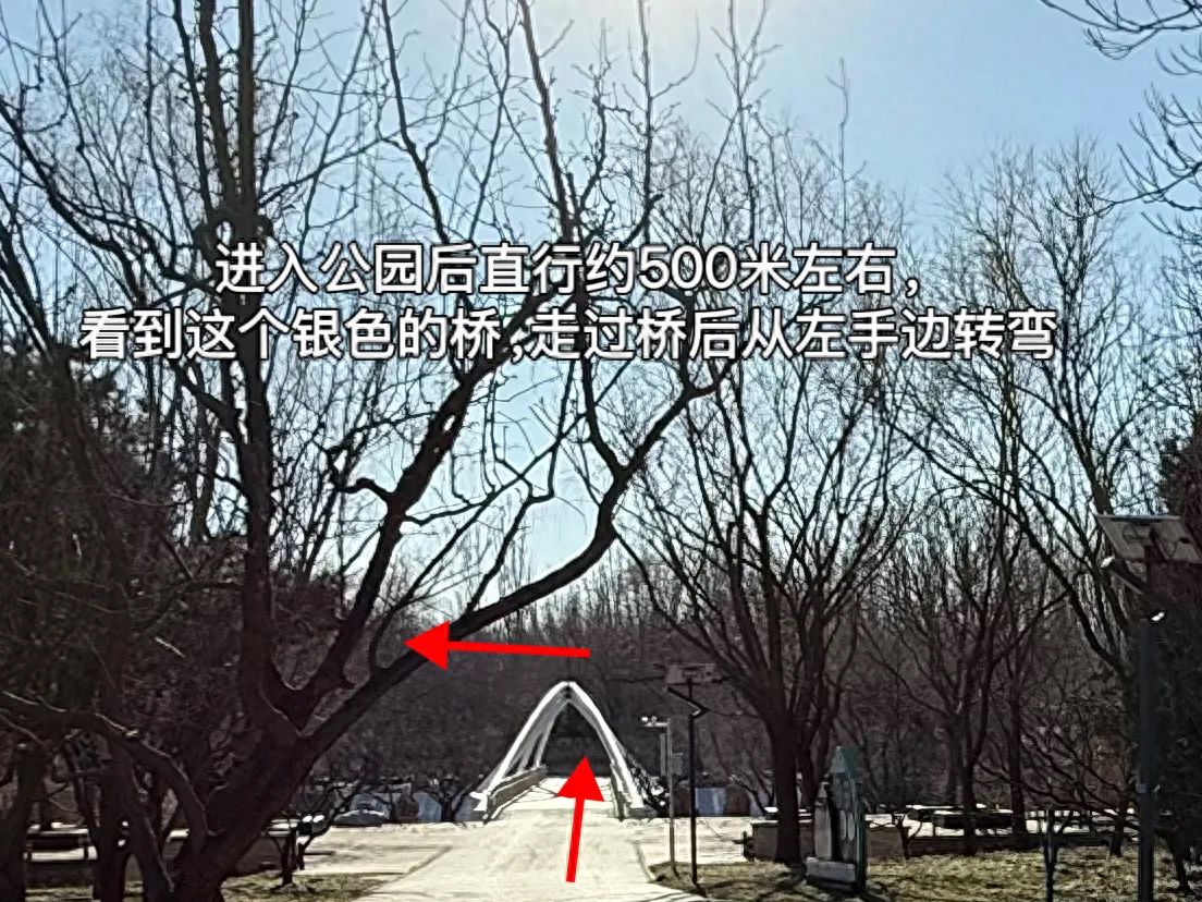 null — step-by-step photo guide