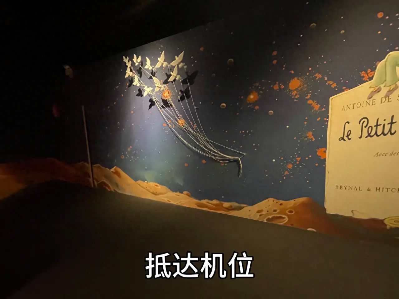 null — step-by-step photo guide