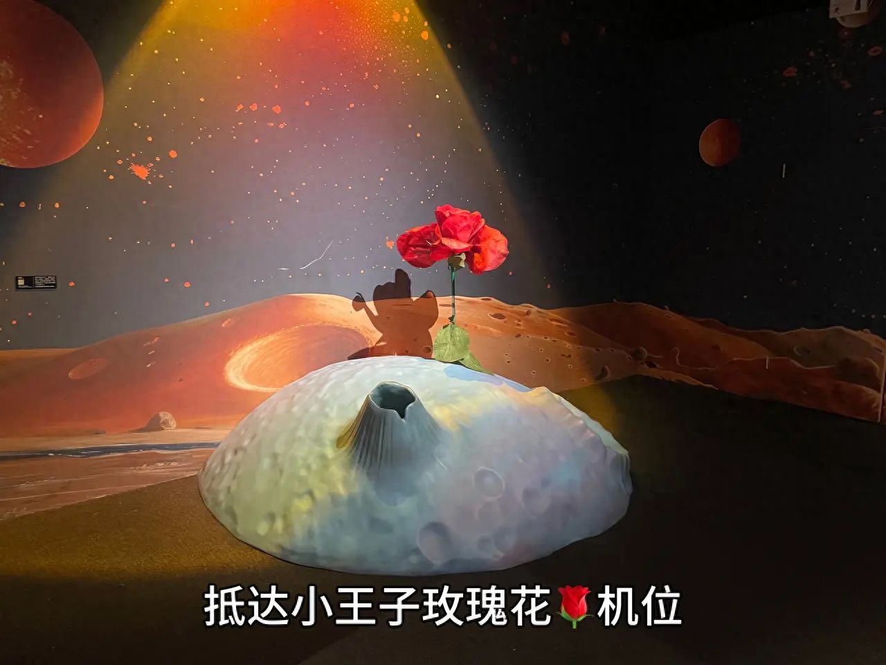 null — step-by-step photo guide