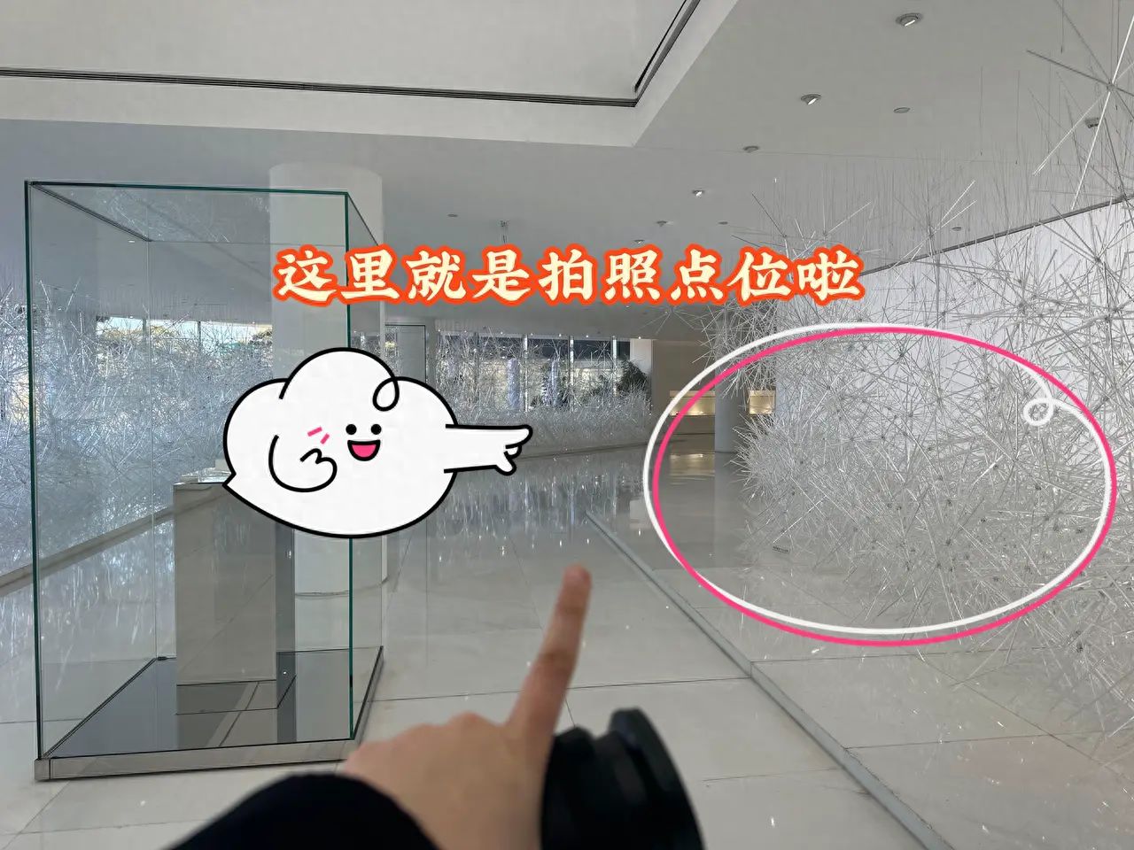 null — step-by-step photo guide