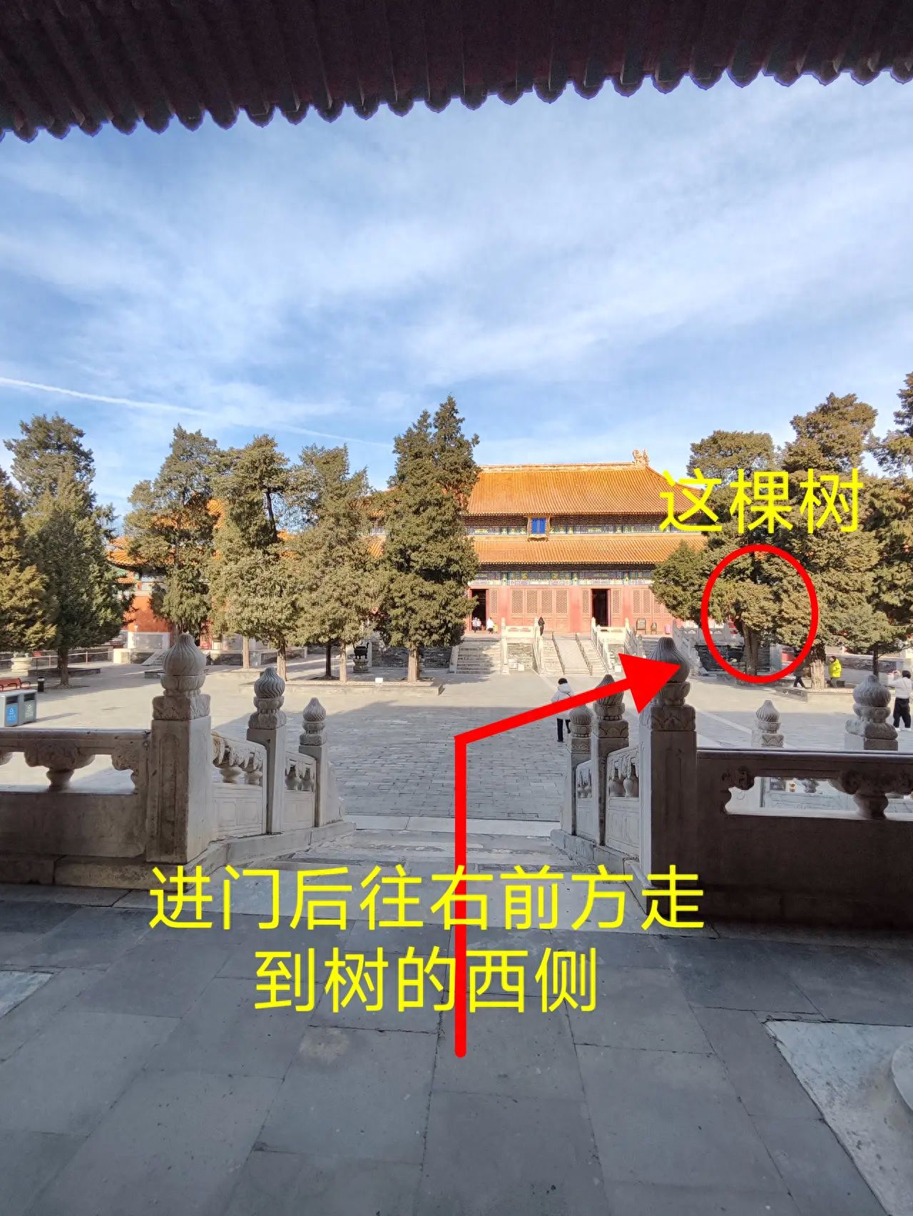 null — step-by-step photo guide