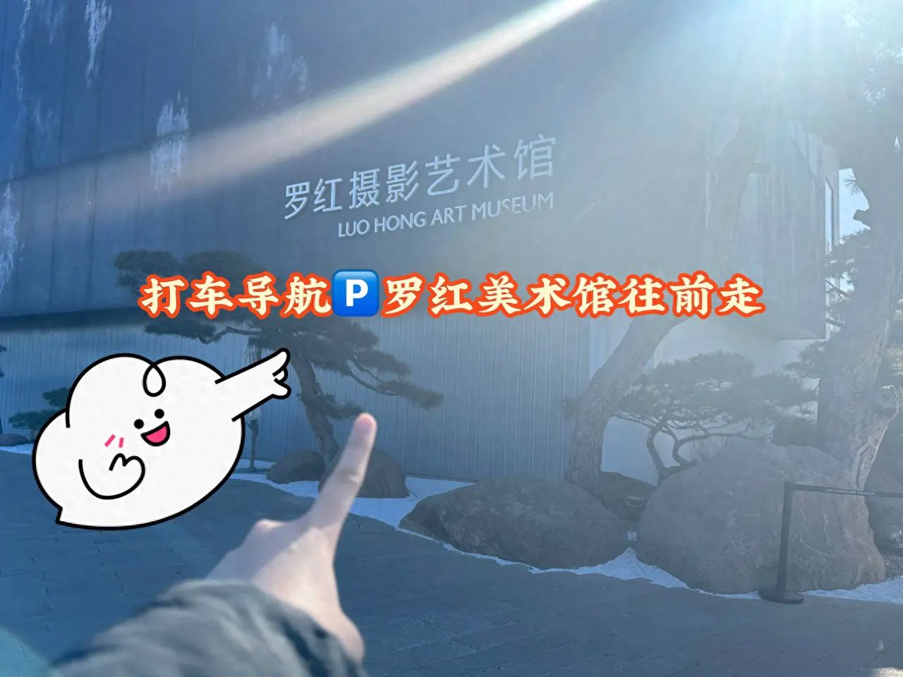 null — step-by-step photo guide