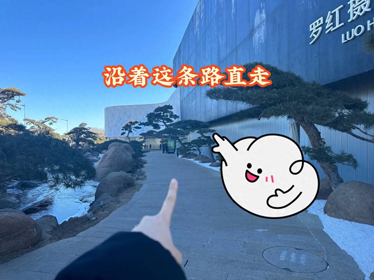 null — step-by-step photo guide