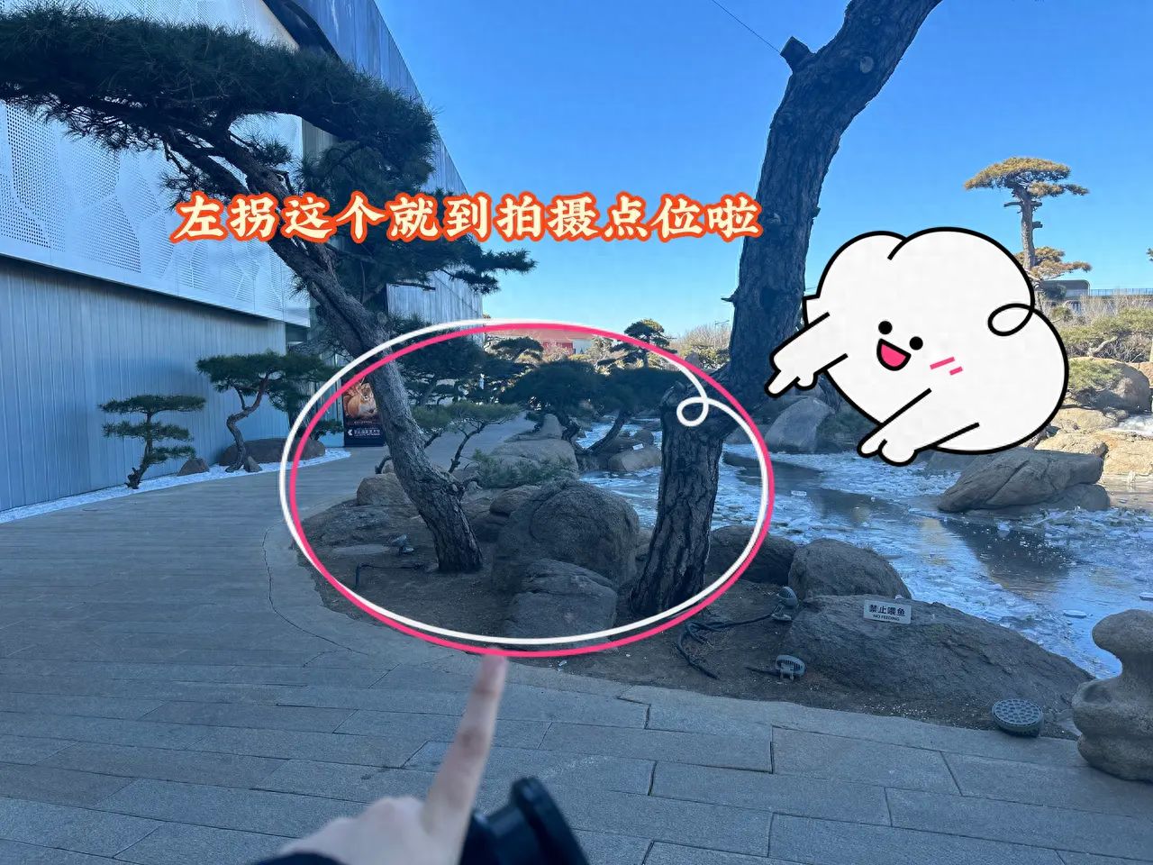 null — step-by-step photo guide