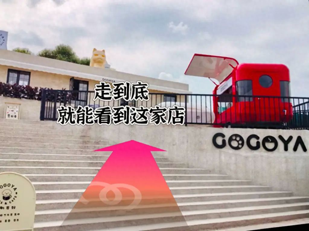 null — step-by-step photo guide