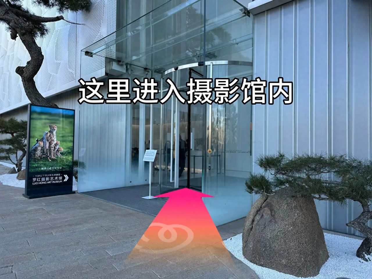 null — step-by-step photo guide