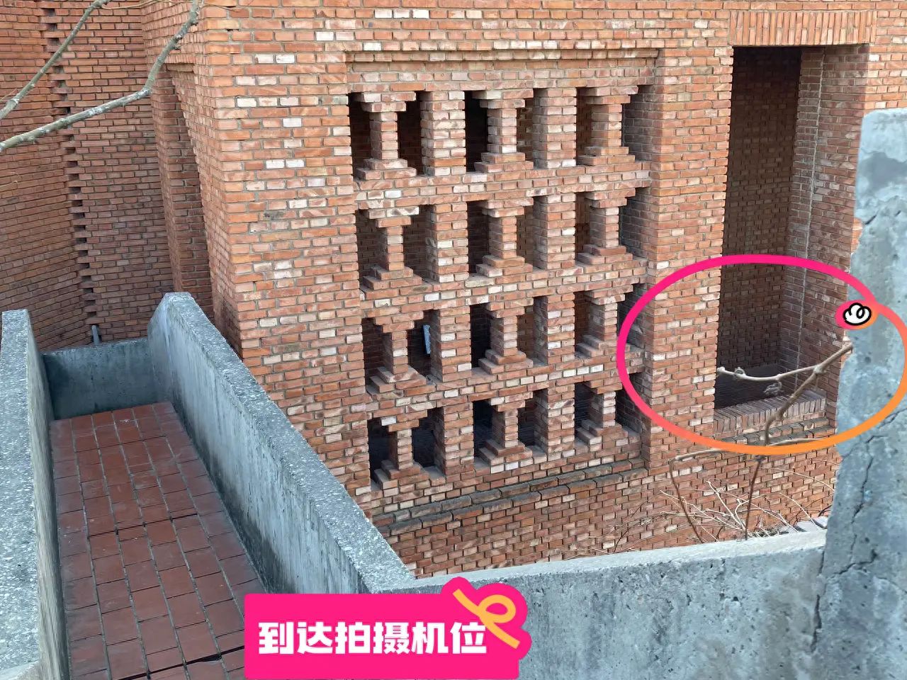 null — step-by-step photo guide