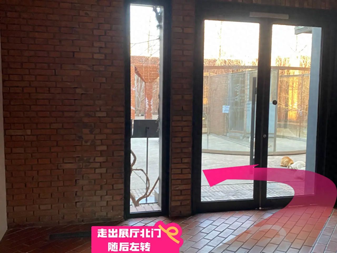 null — step-by-step photo guide