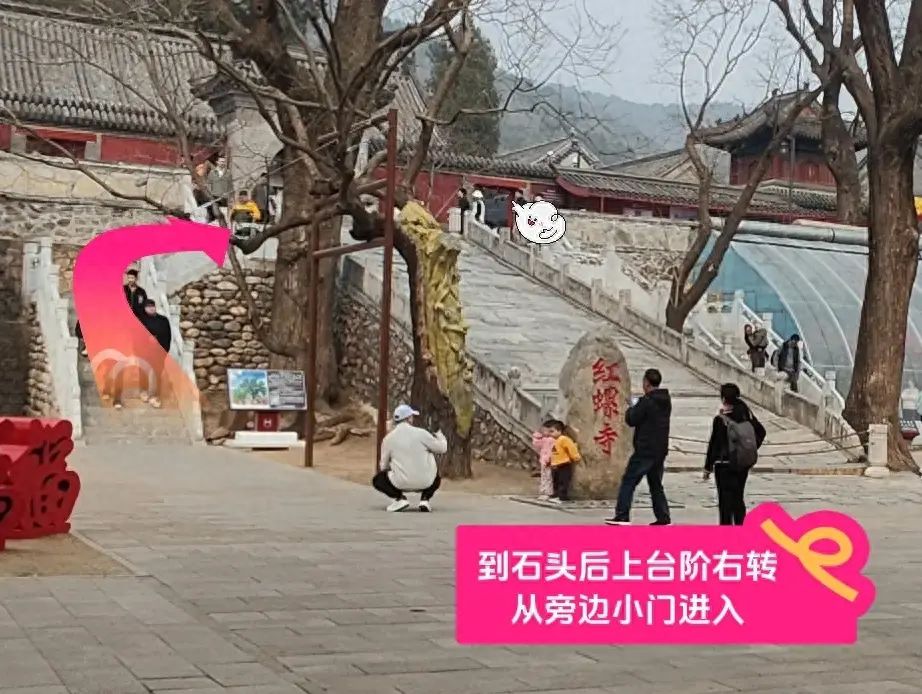 null — step-by-step photo guide