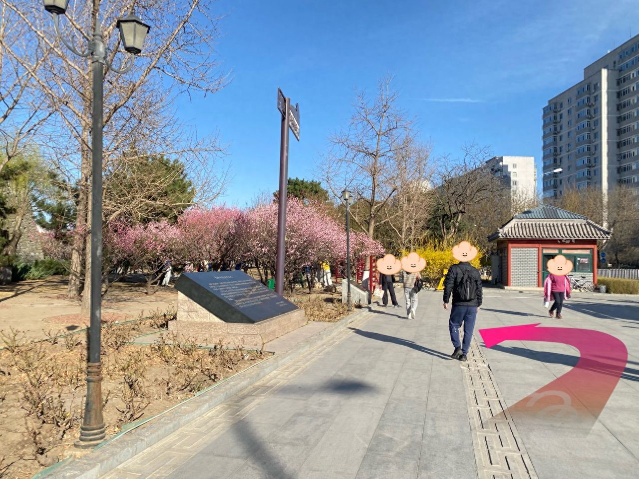 null — step-by-step photo guide