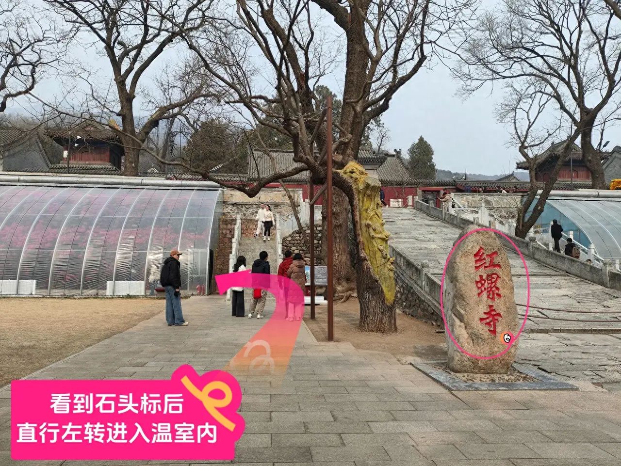 null — step-by-step photo guide