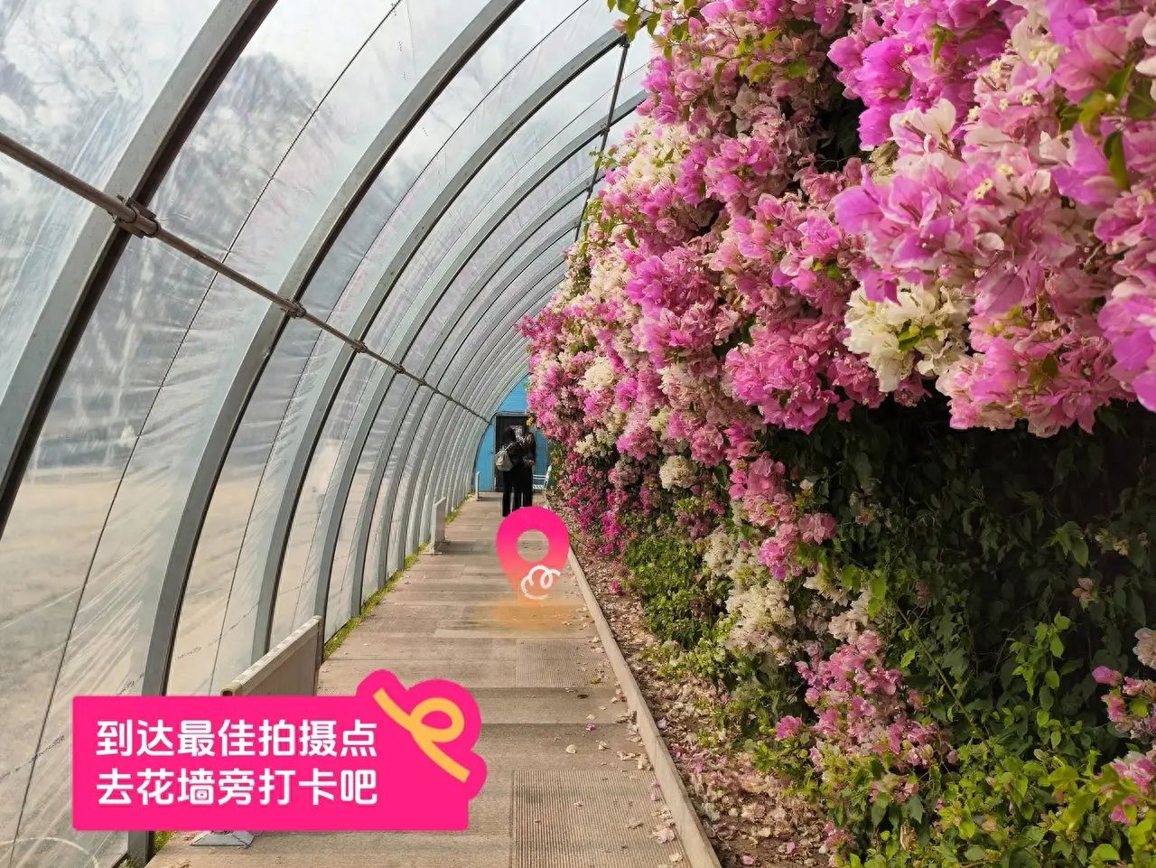 null — step-by-step photo guide