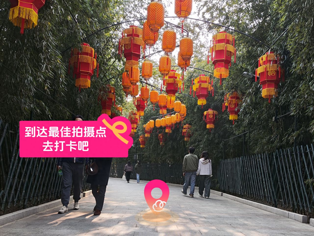 null — step-by-step photo guide