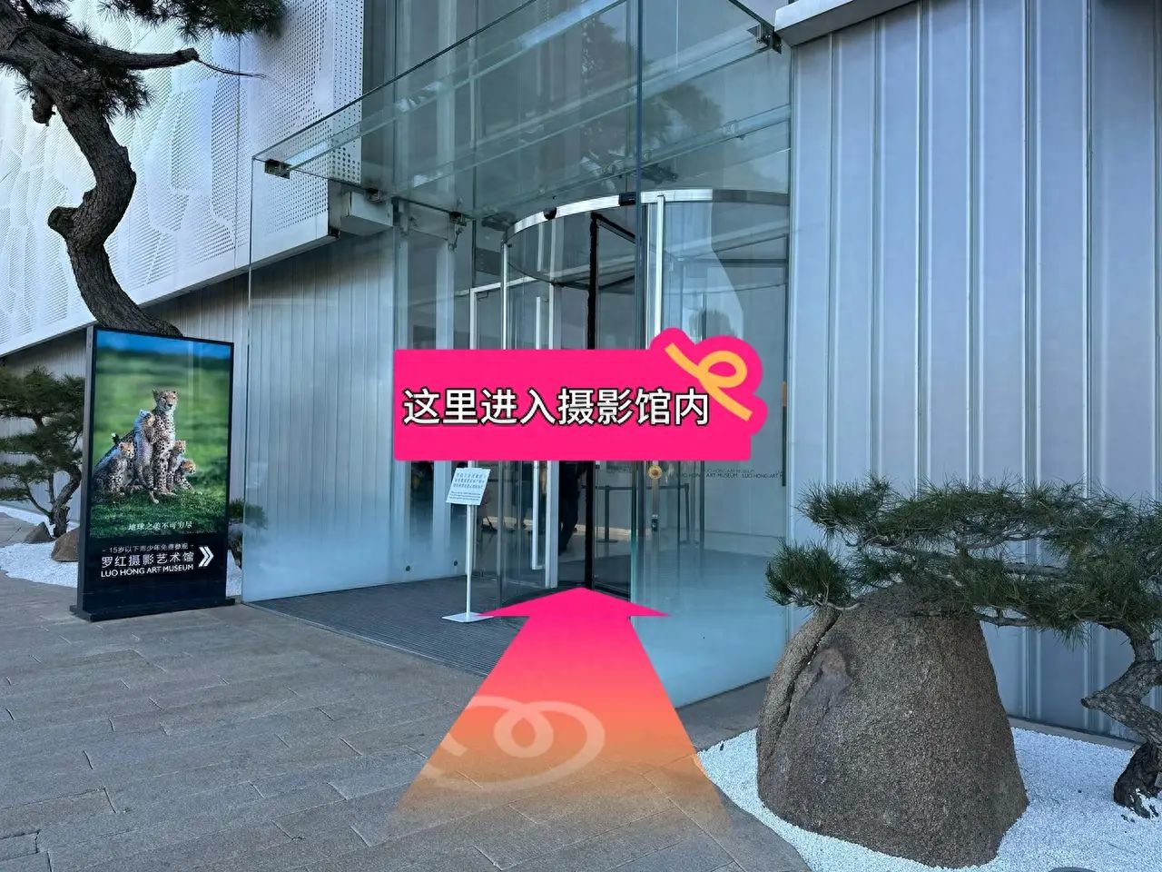 null — step-by-step photo guide