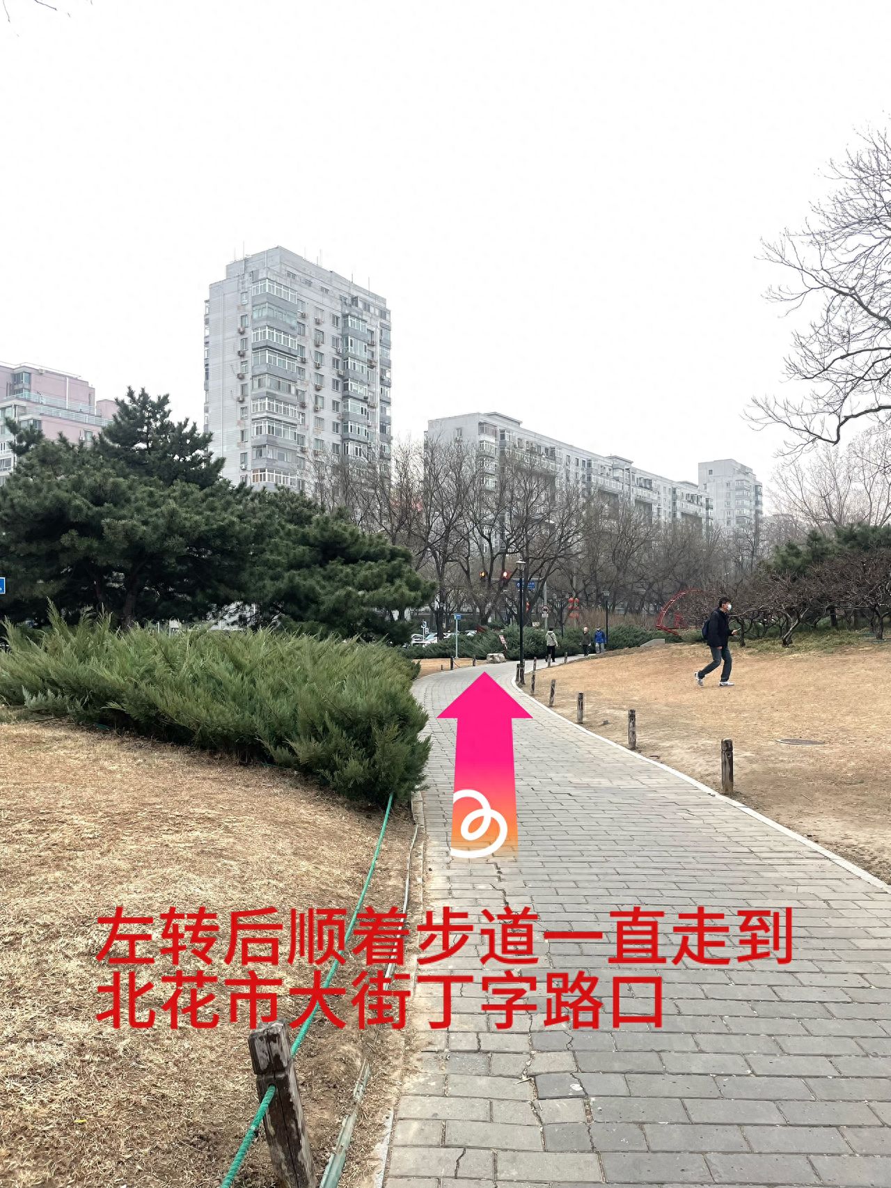 null — step-by-step photo guide