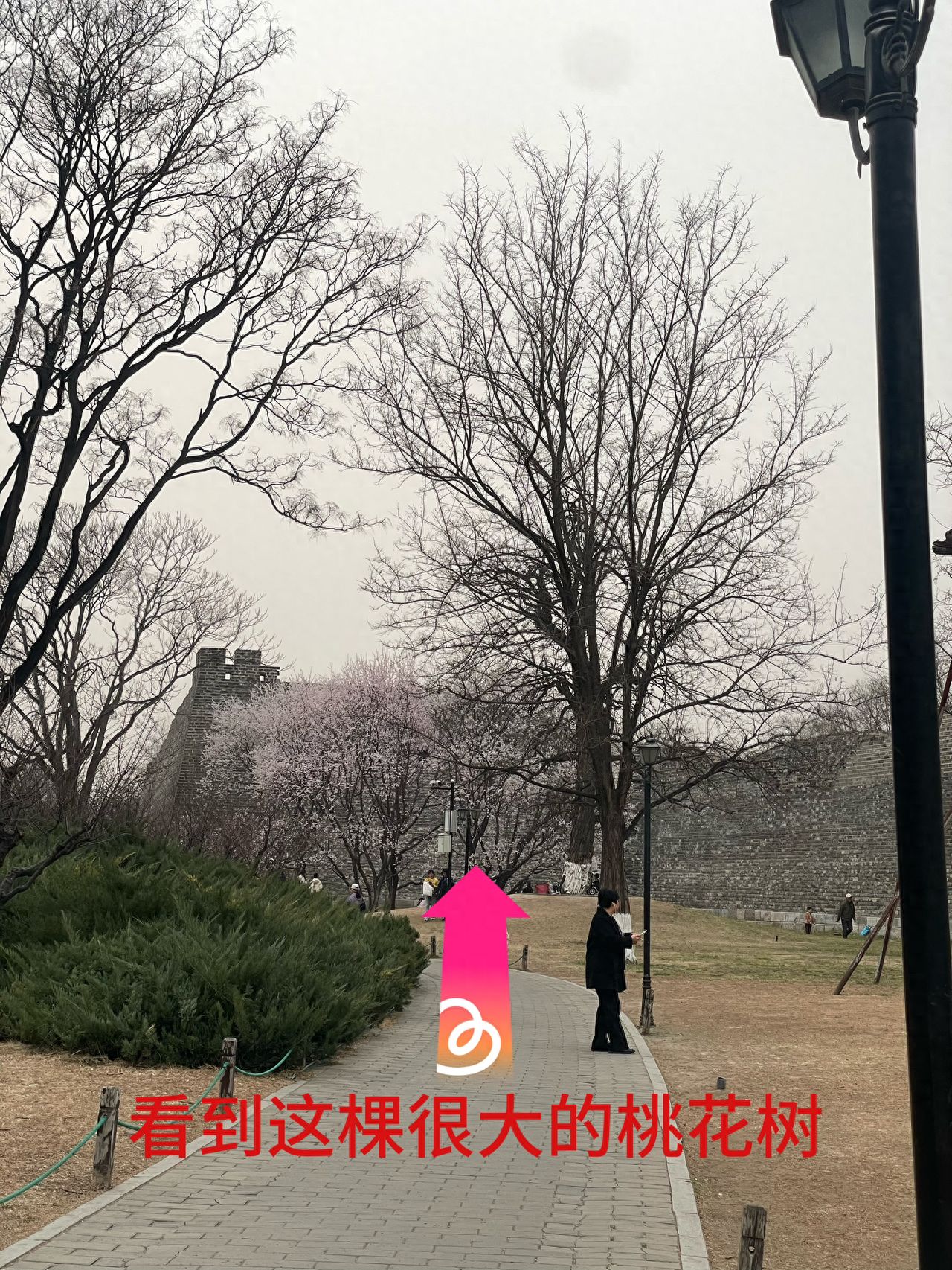 null — step-by-step photo guide