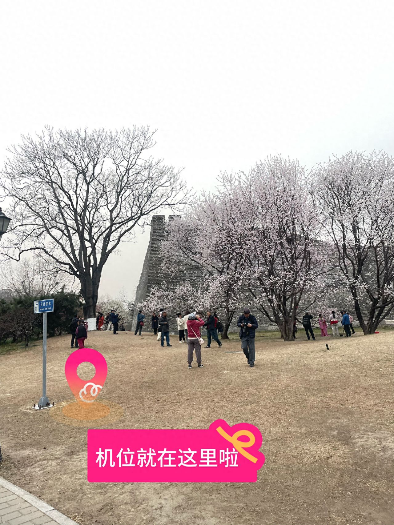 null — step-by-step photo guide