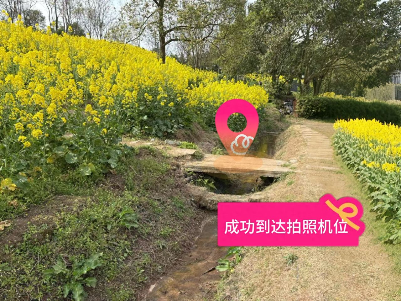 Successfully reached the photo shooting location. — step-by-step photo guide