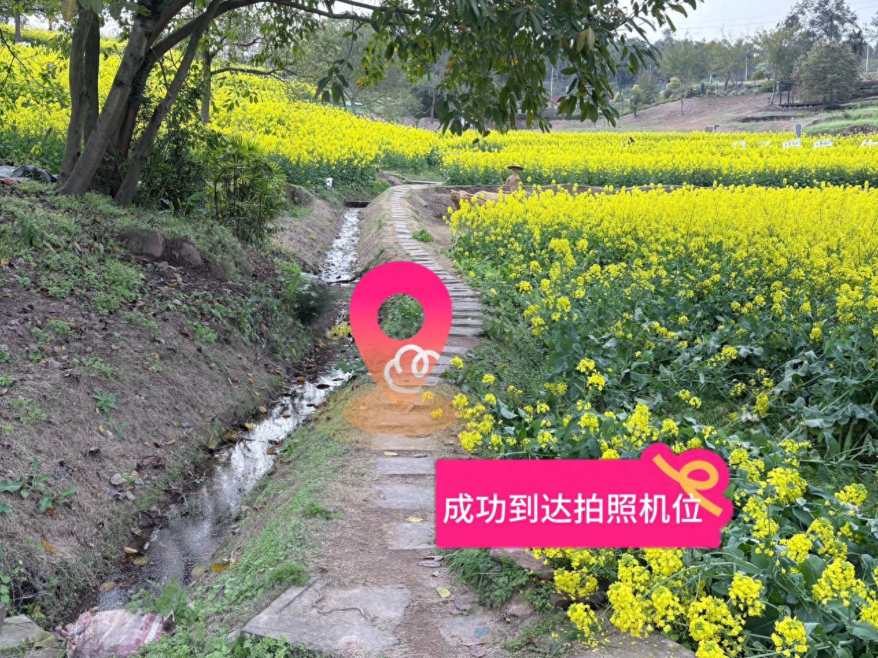 Successfully reached the photography spot. — step-by-step photo guide