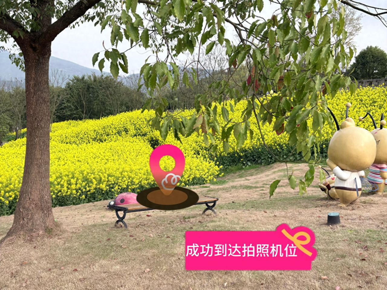 Successfully reached the photography position. — step-by-step photo guide