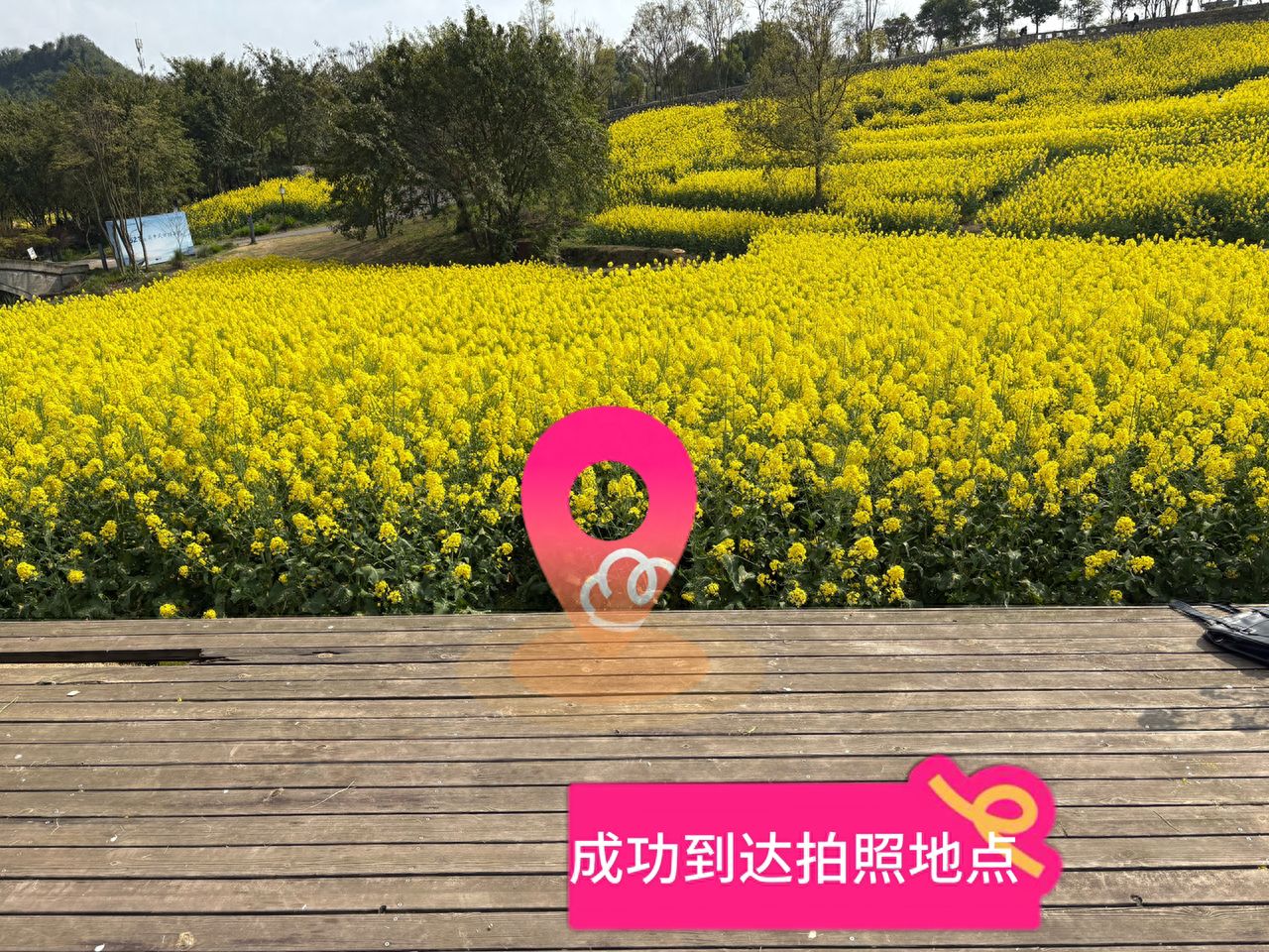 Successfully reached the photo spot. — step-by-step photo guide