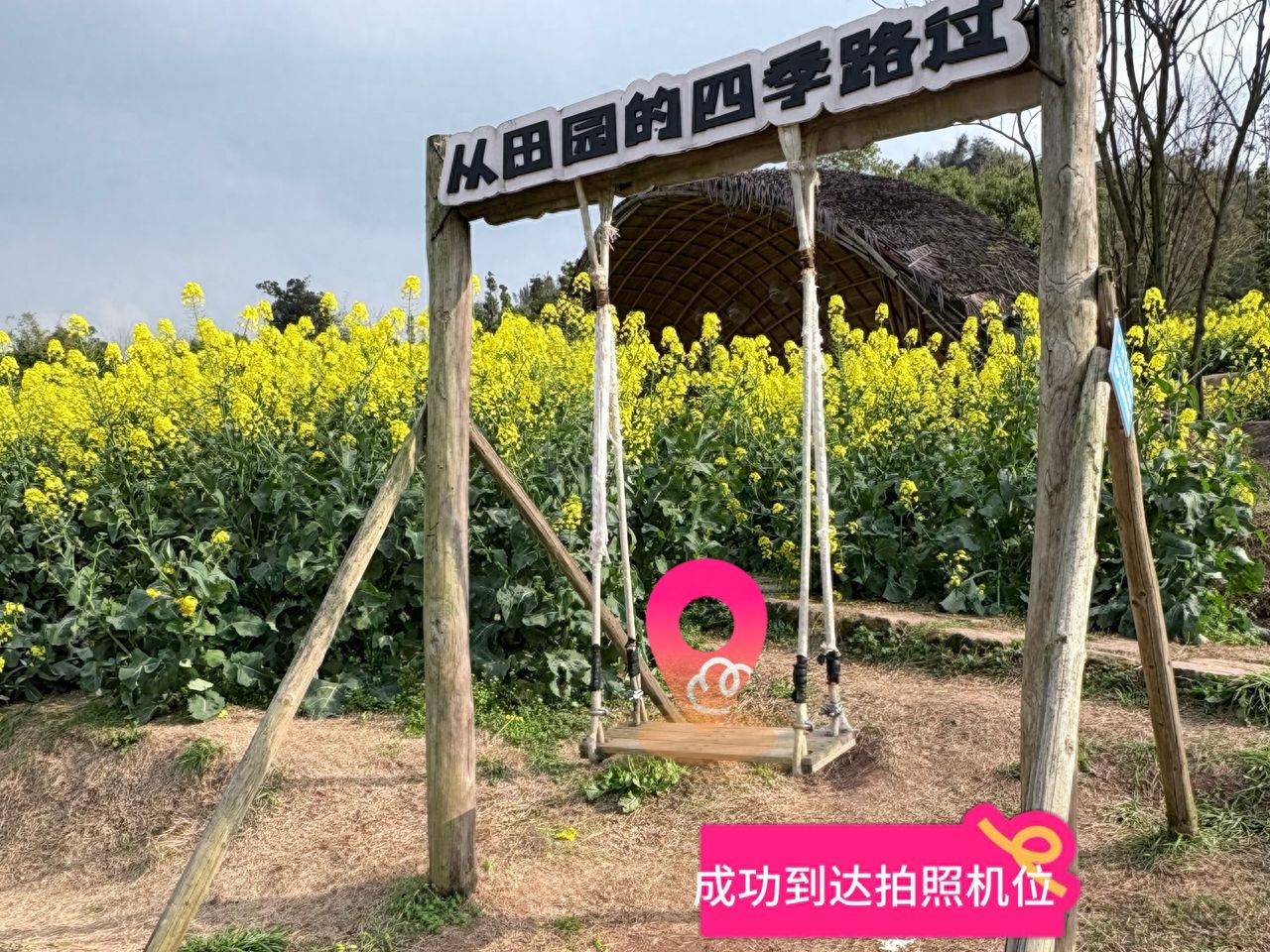 Successfully reached the photography position. — step-by-step photo guide