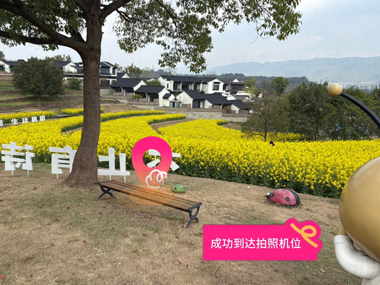 Successfully reached the photography spot. — step-by-step photo guide