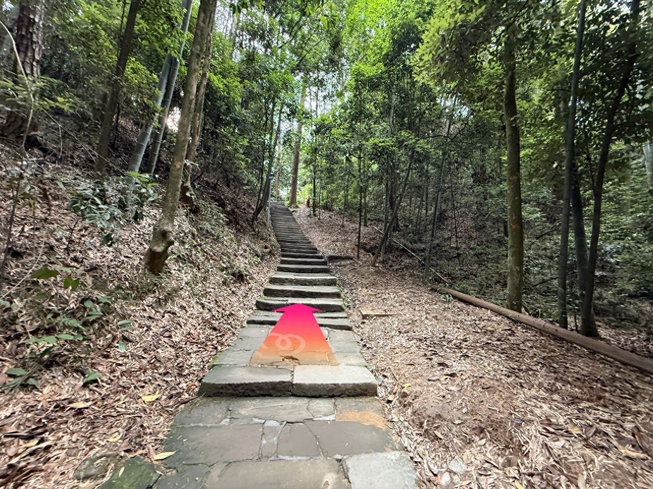 Continue to go straight for 300 meters. — step-by-step photo guide