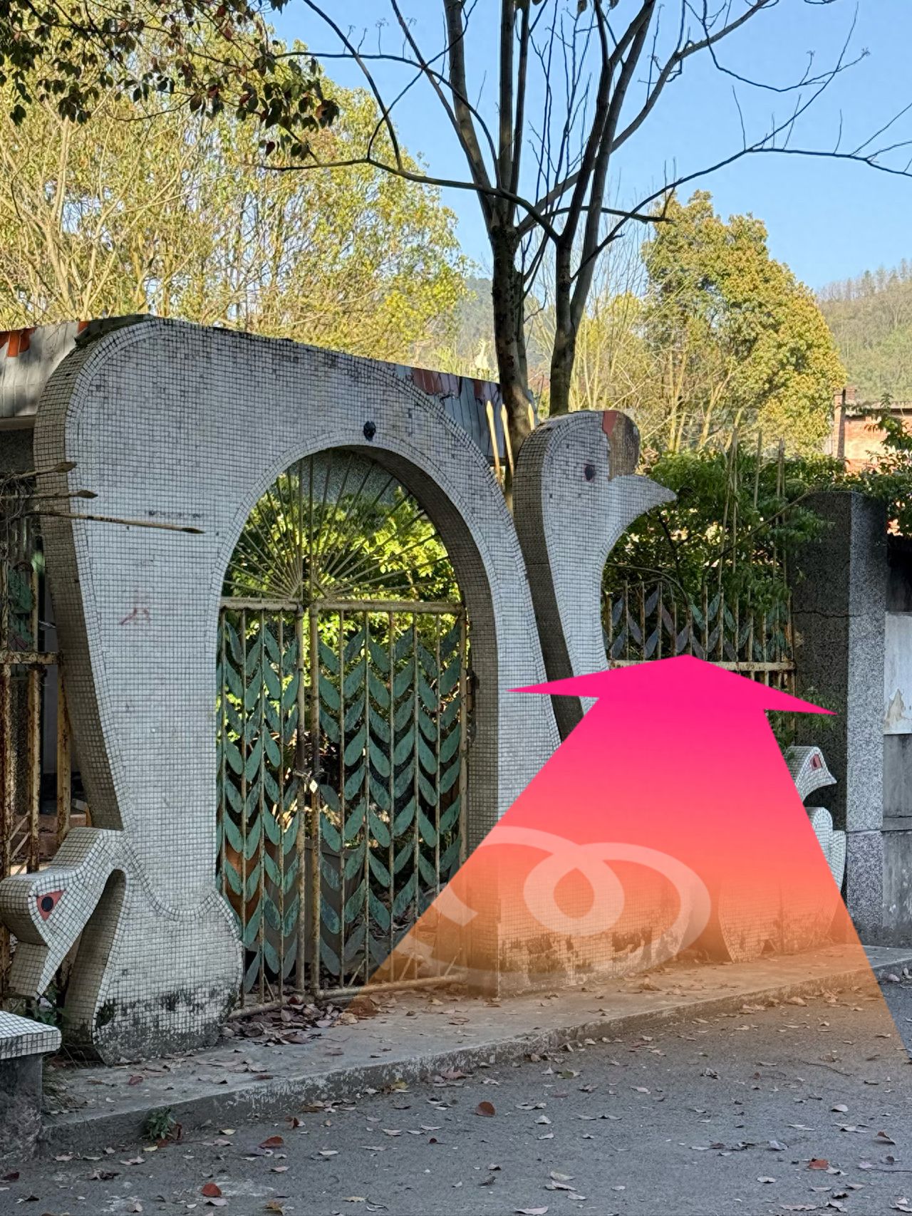 null — step-by-step photo guide