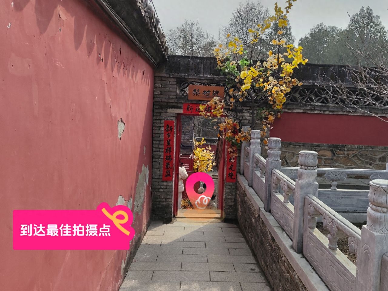 null — step-by-step photo guide