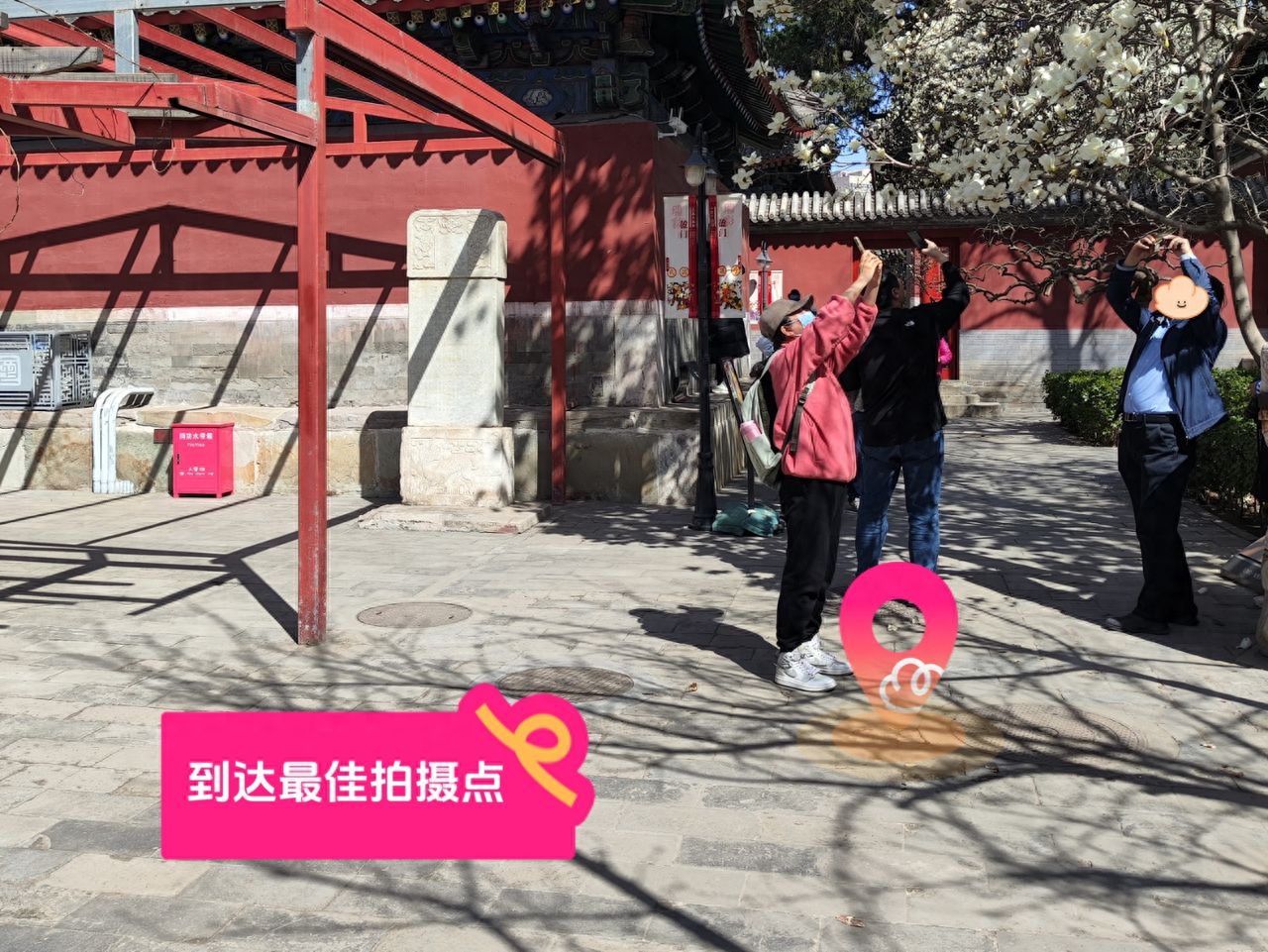 null — step-by-step photo guide