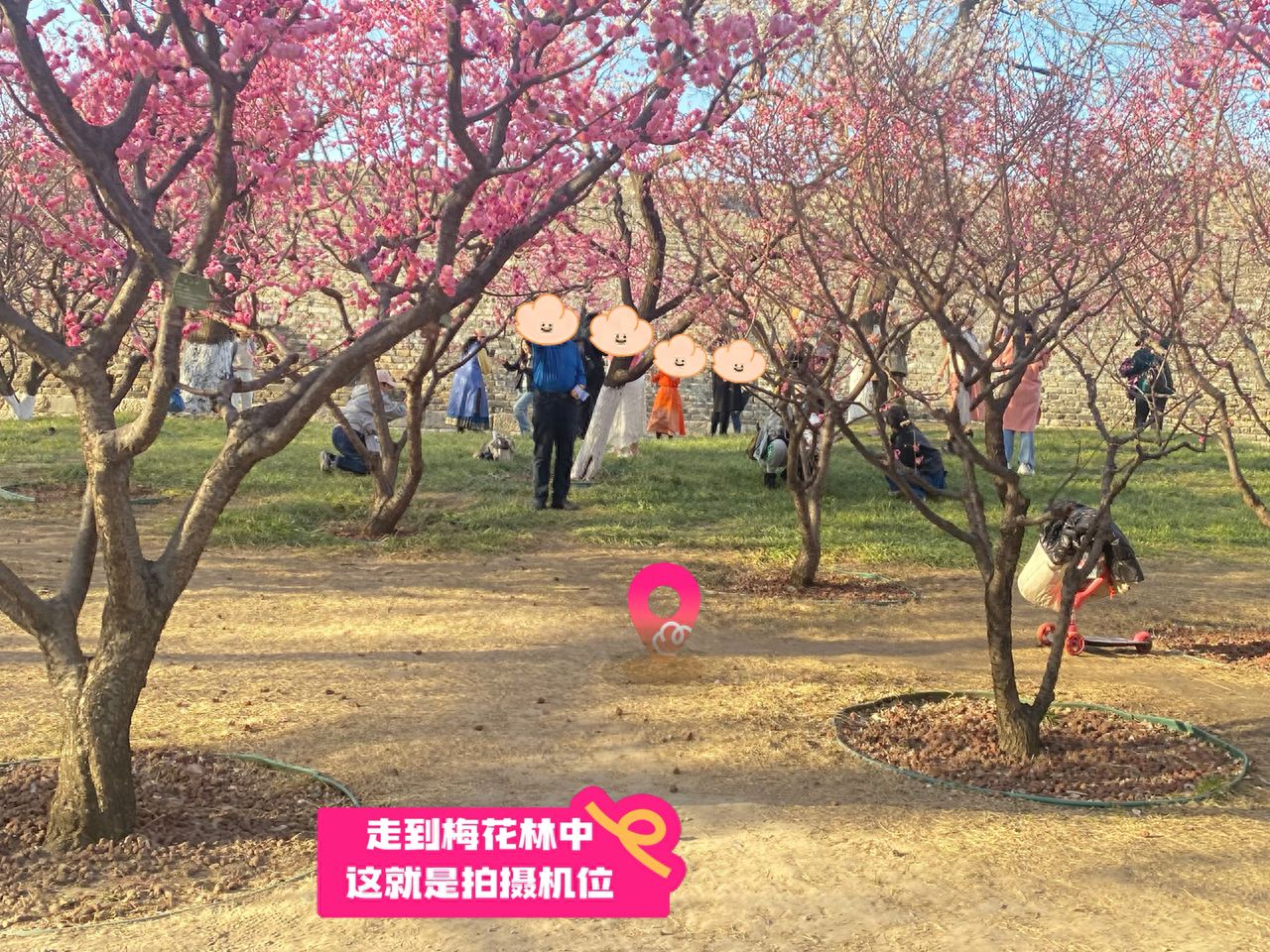 null — step-by-step photo guide