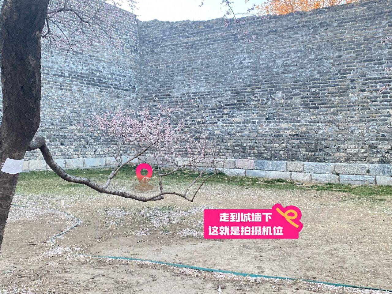 null — step-by-step photo guide