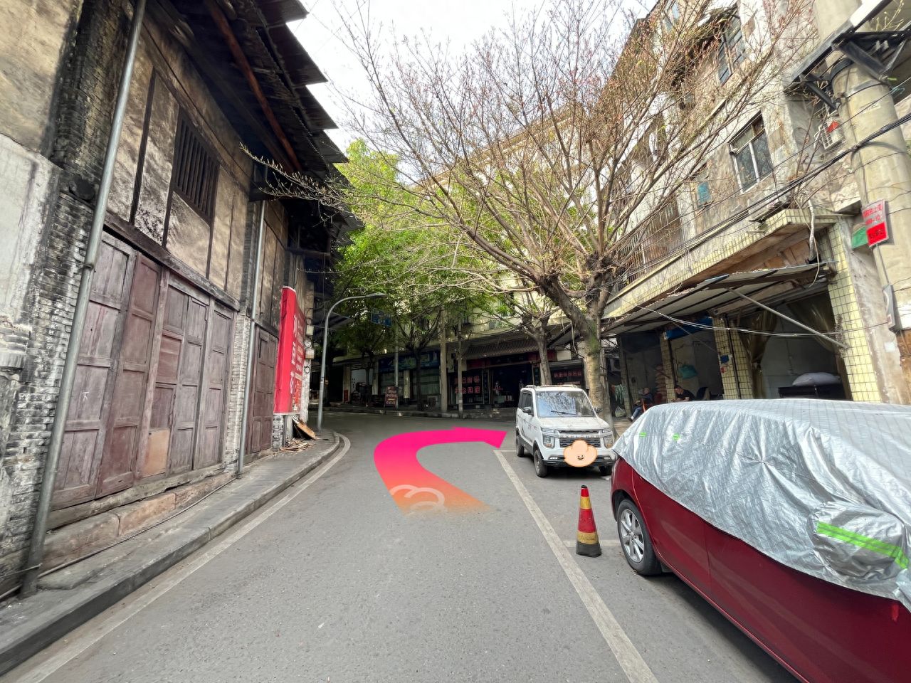 Turn right at the small bamboo forest. — step-by-step photo guide