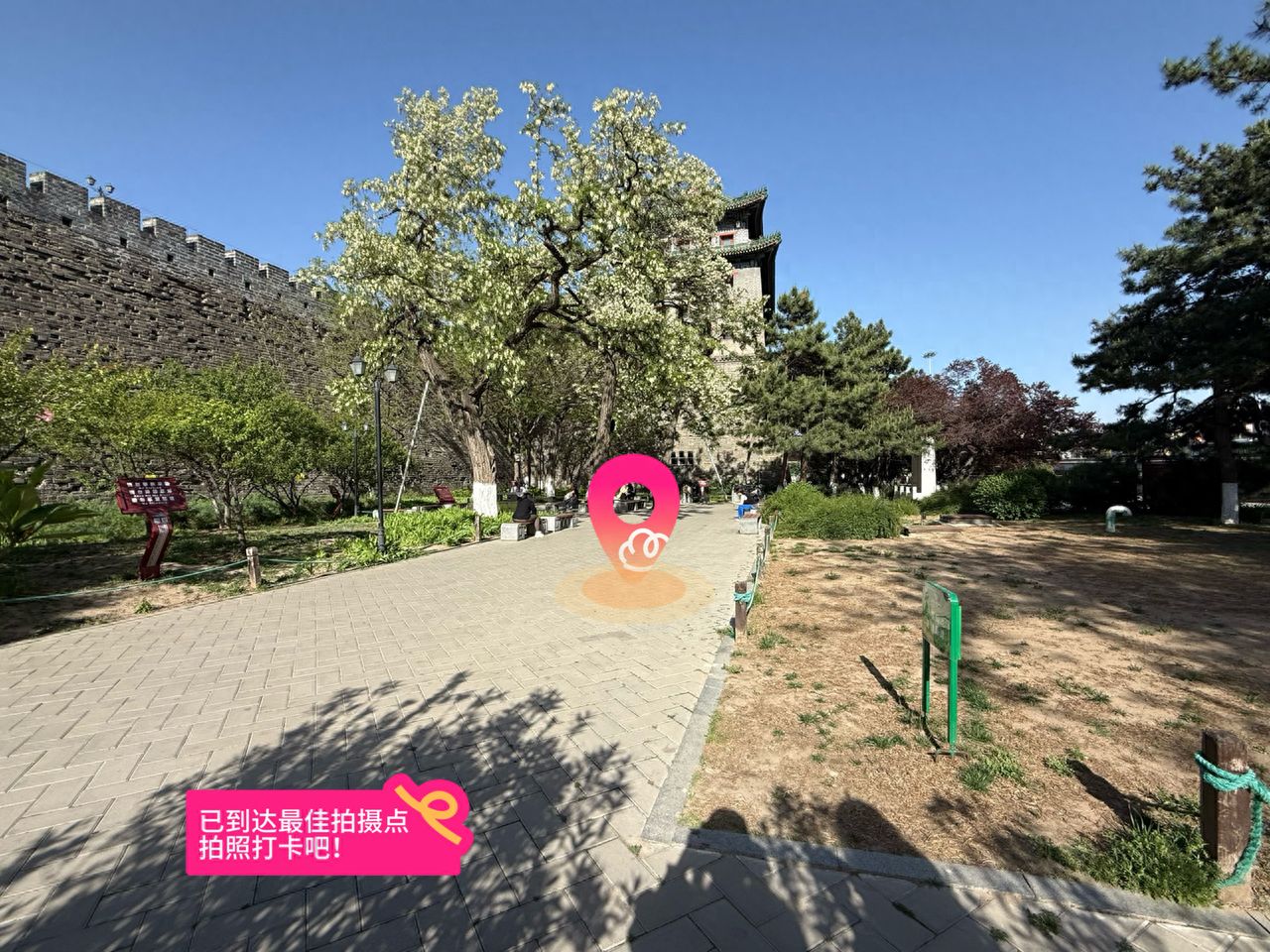 null — step-by-step photo guide