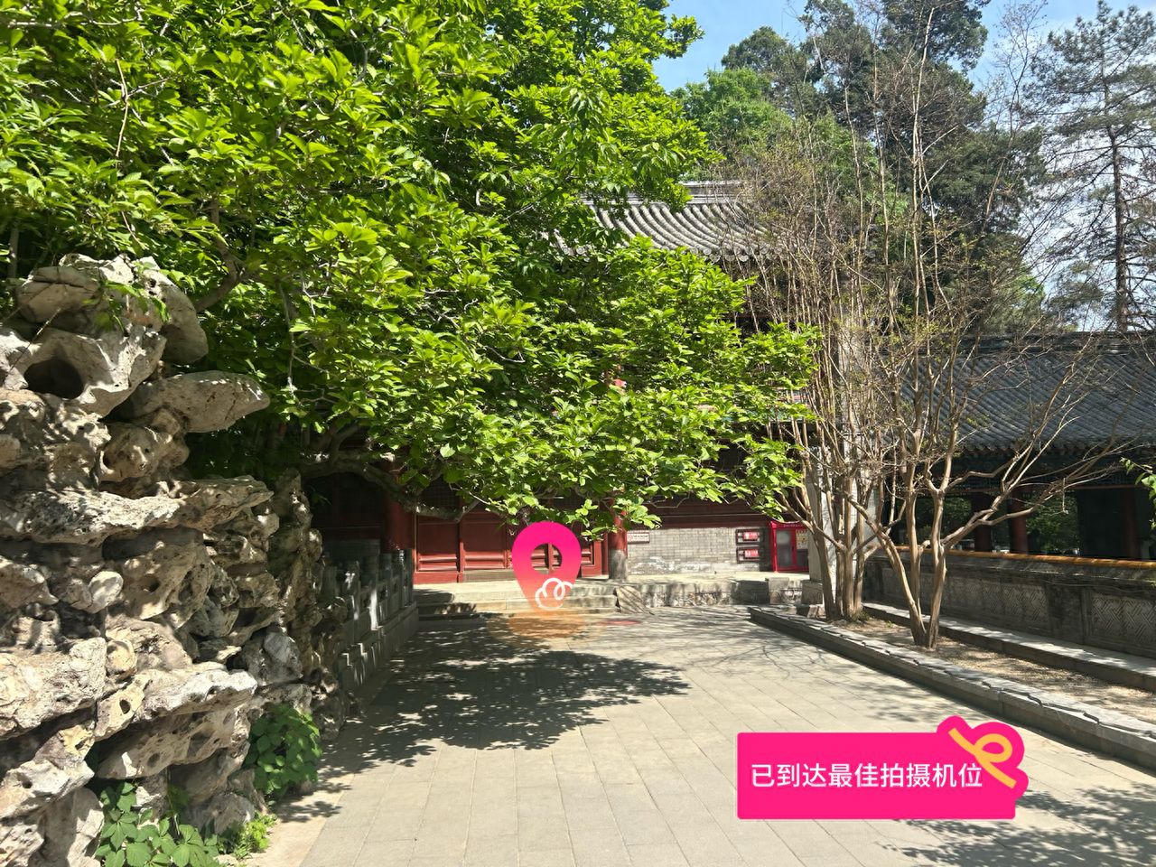 null — step-by-step photo guide