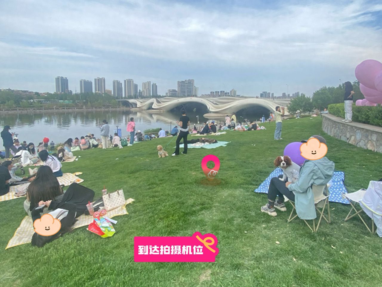 null — step-by-step photo guide