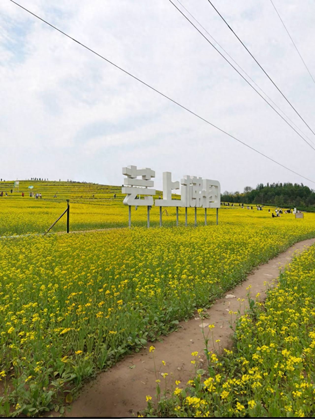 null — step-by-step photo guide