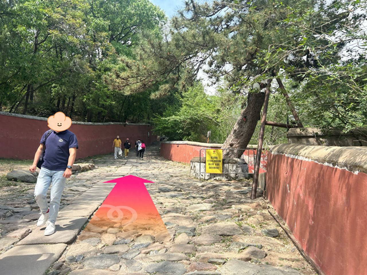 null — step-by-step photo guide