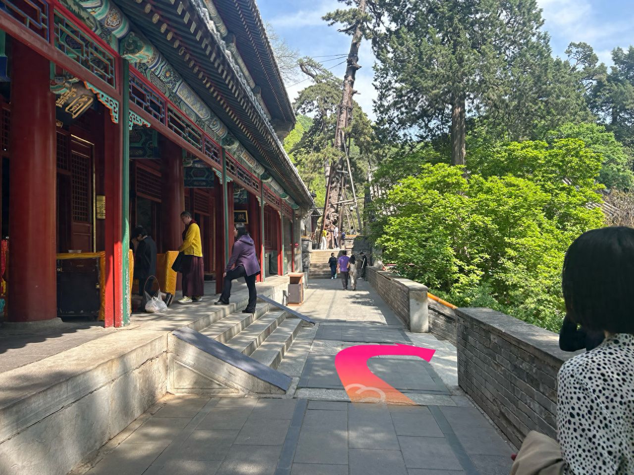 null — step-by-step photo guide