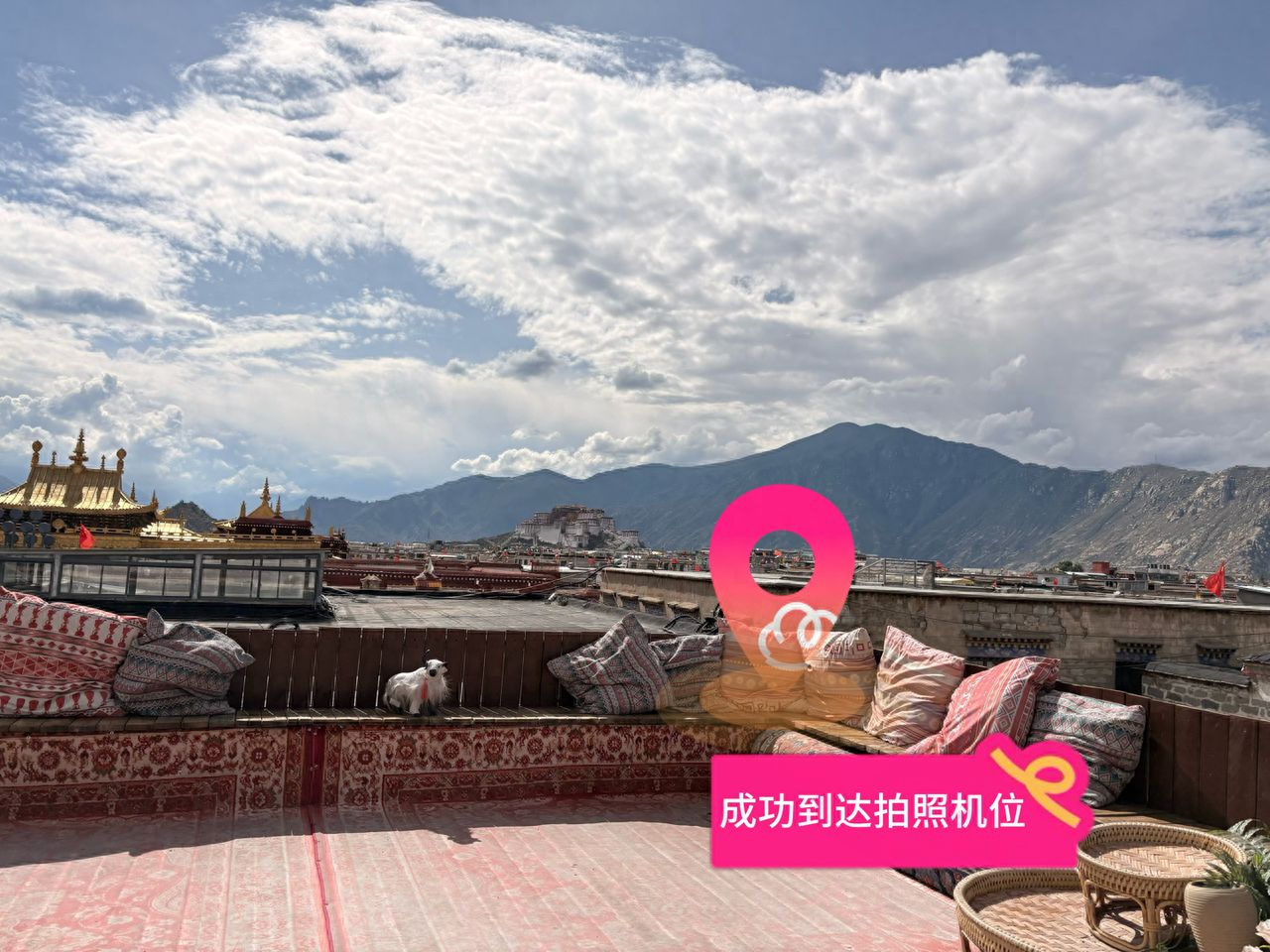 null — step-by-step photo guide