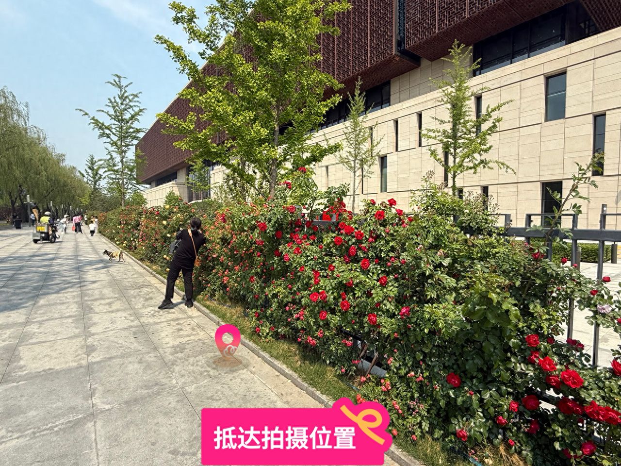 null — step-by-step photo guide