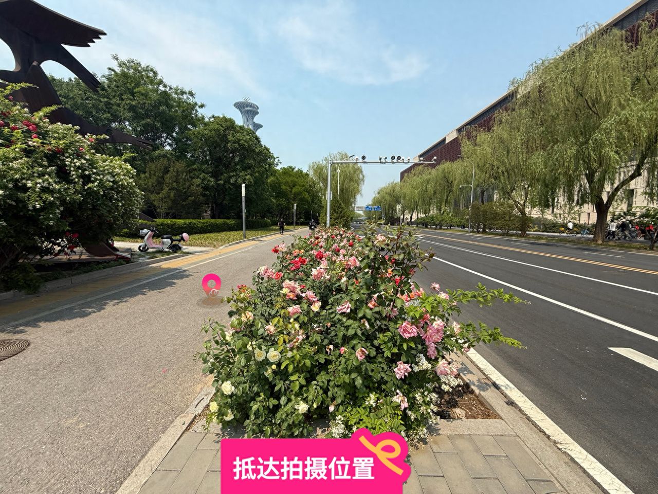 null — step-by-step photo guide