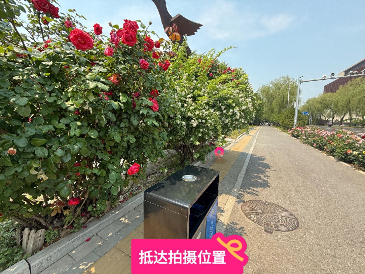 null — step-by-step photo guide