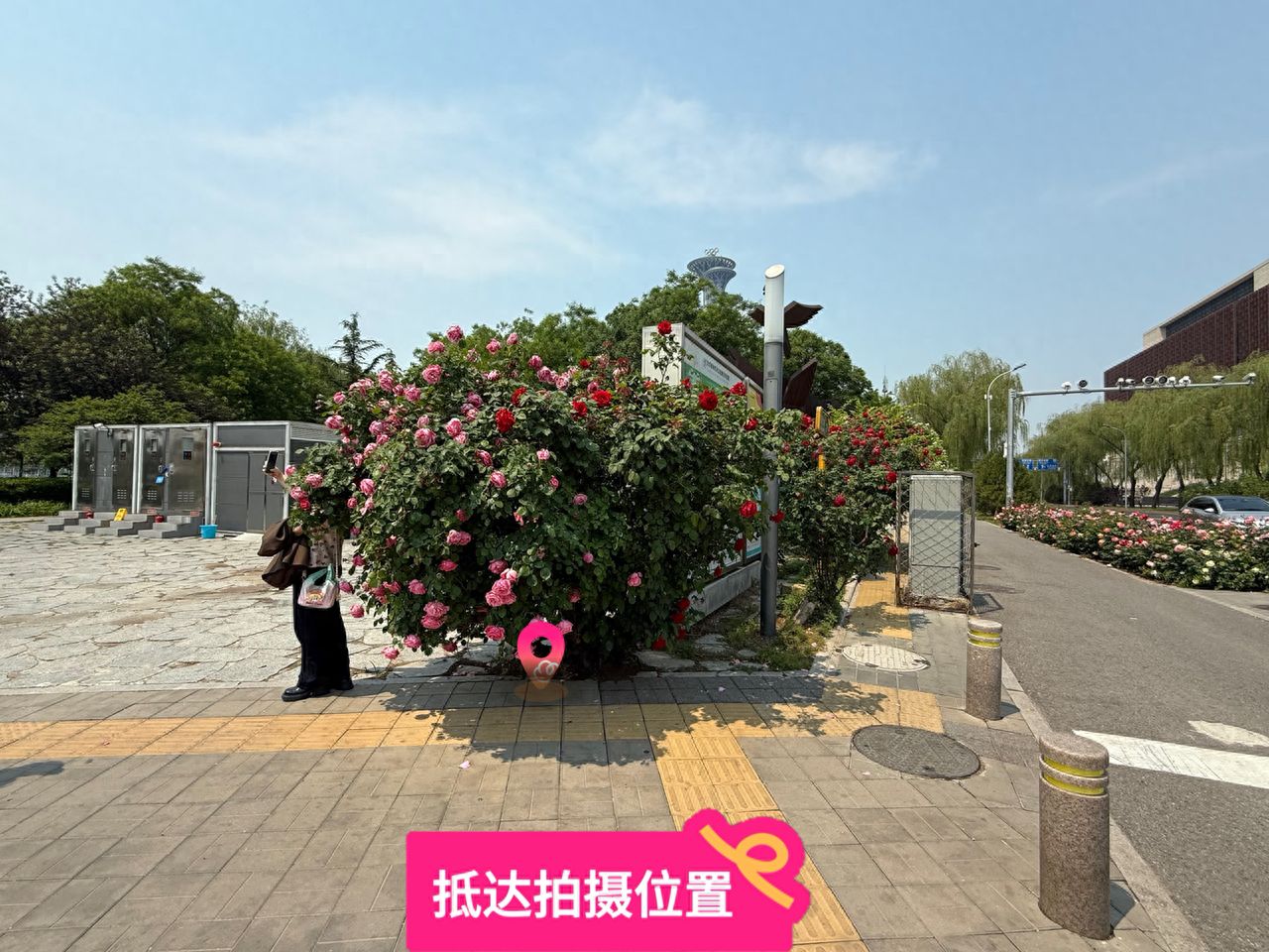 null — step-by-step photo guide