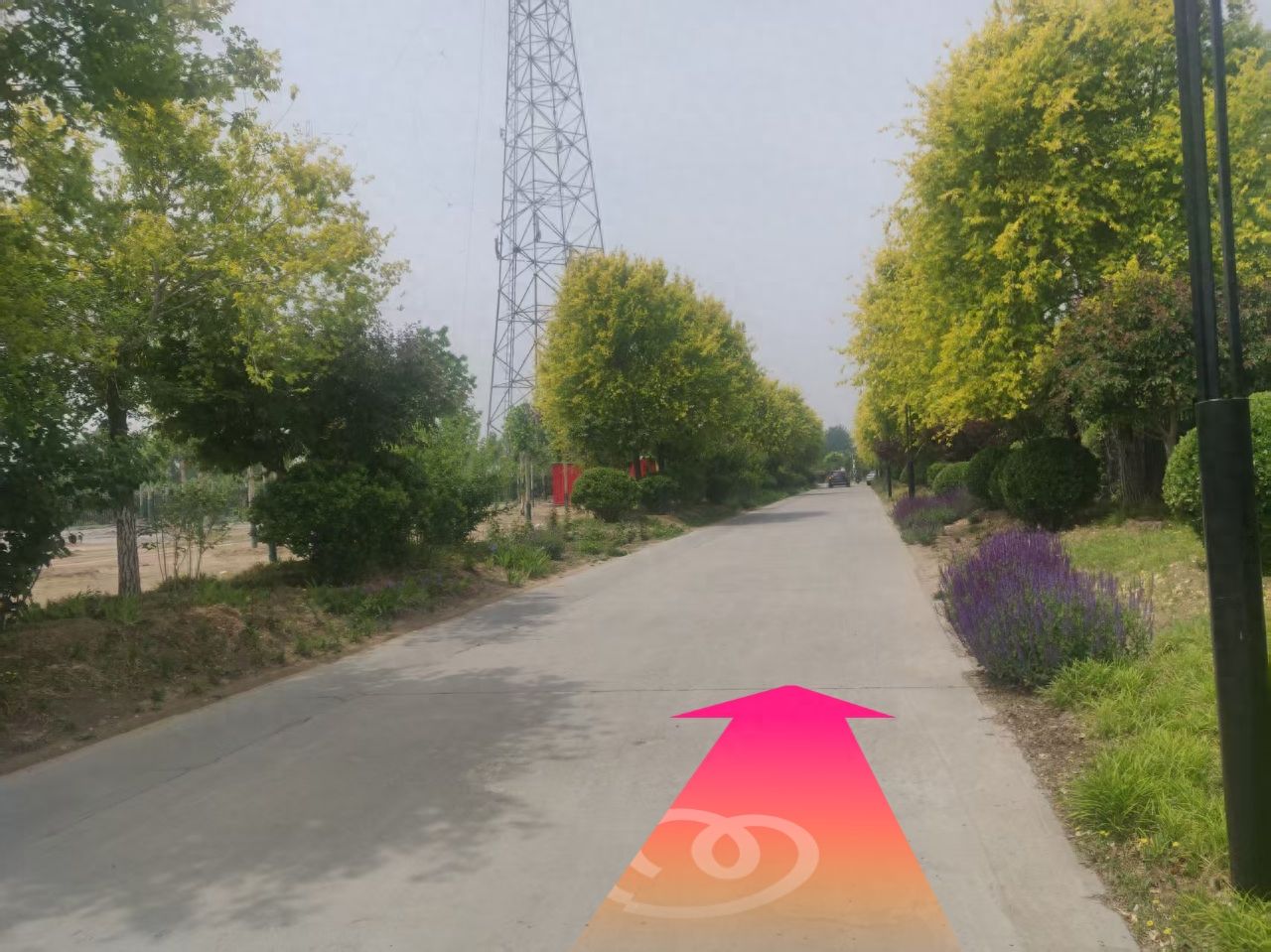 null — step-by-step photo guide