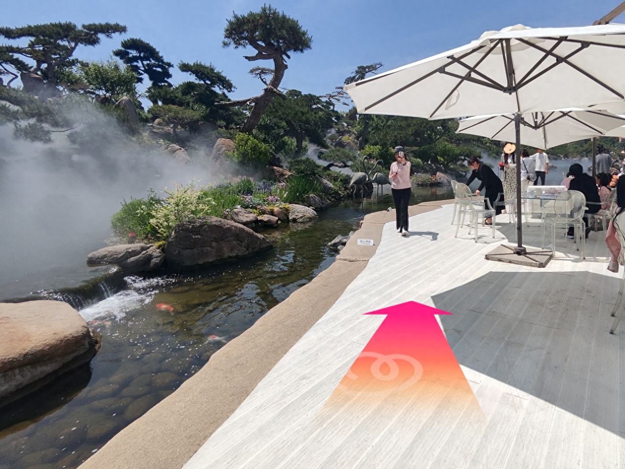 null — step-by-step photo guide