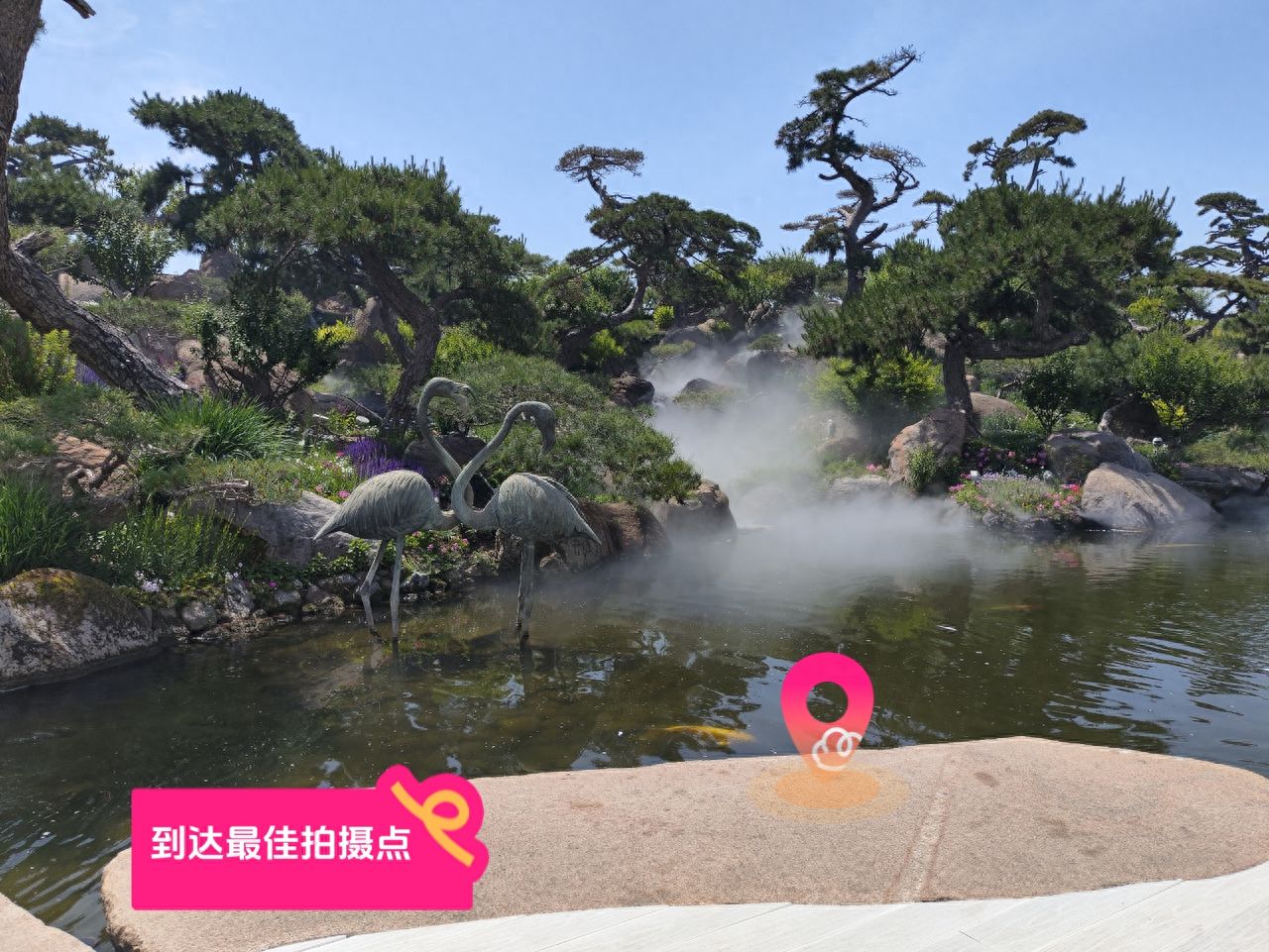 null — step-by-step photo guide